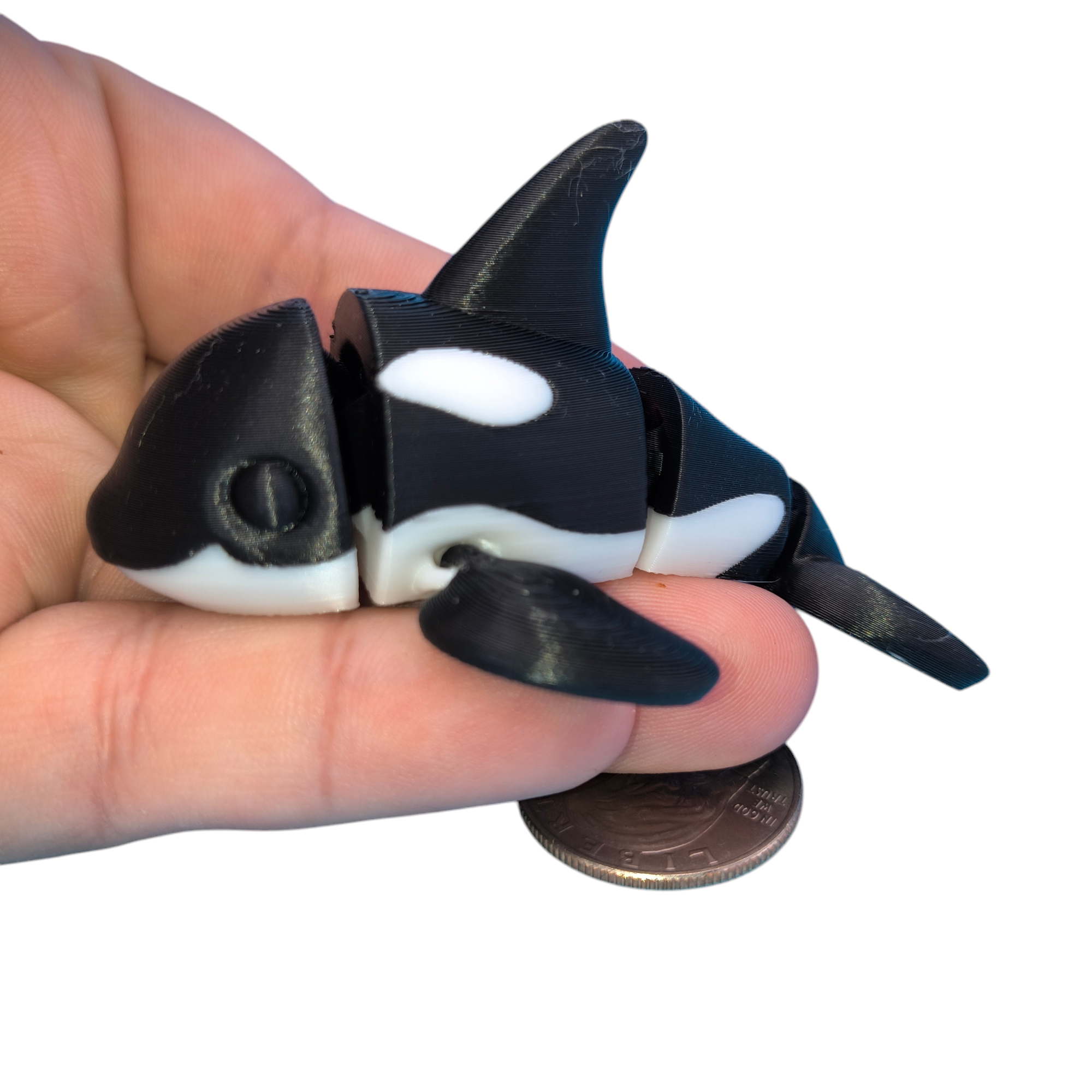 新品、未開封！ORCA Minute Stream2000 Orca Whale Black Eyes