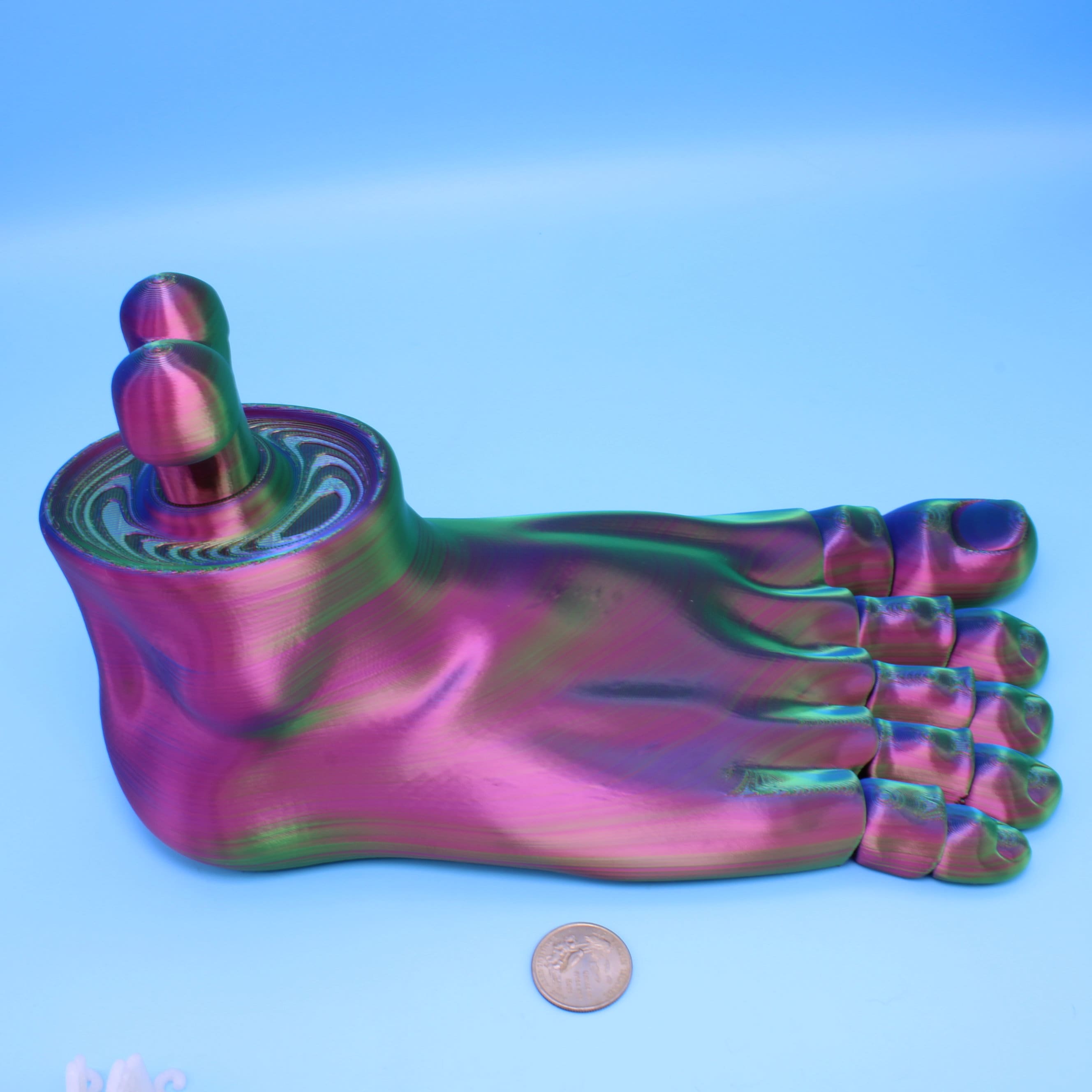 Tri Colored Foot- Multiple Sizes
