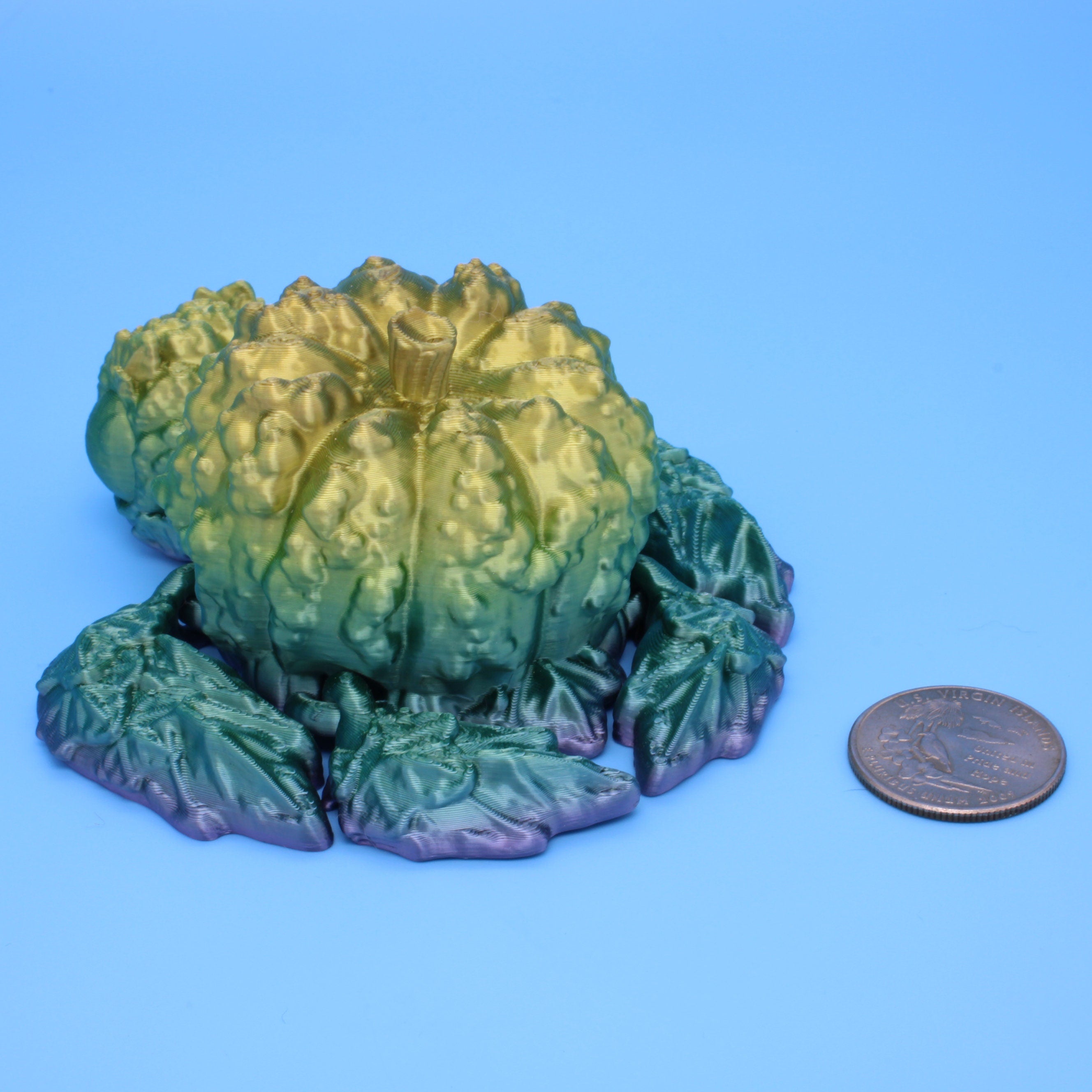 3D printed Multi Color Articulating Pumpkin Turtle. Flexi, Fidget Bumpkinurtle adult toy. 4.5 inch. Adorable turtle buddy. Great gift!