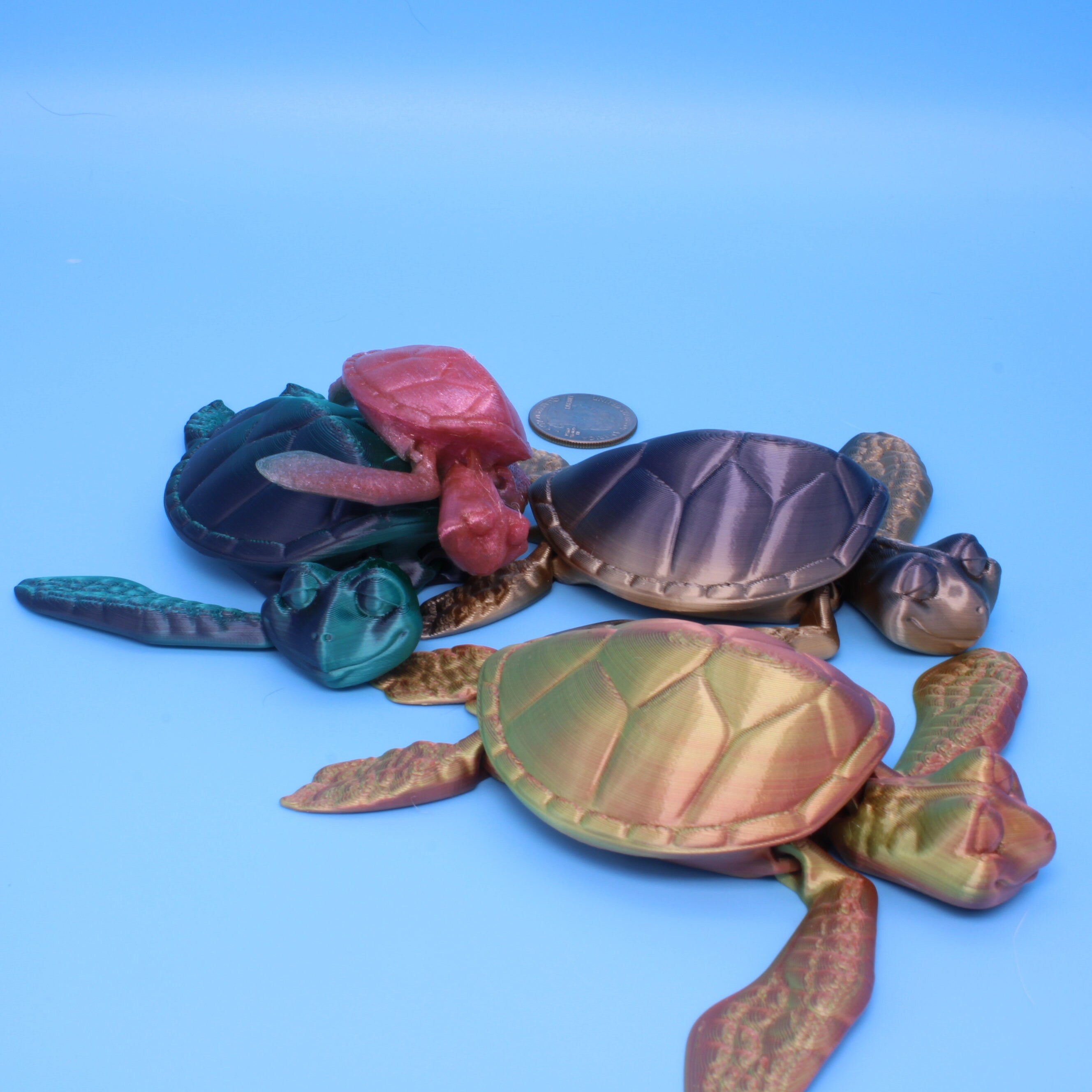 Turtle