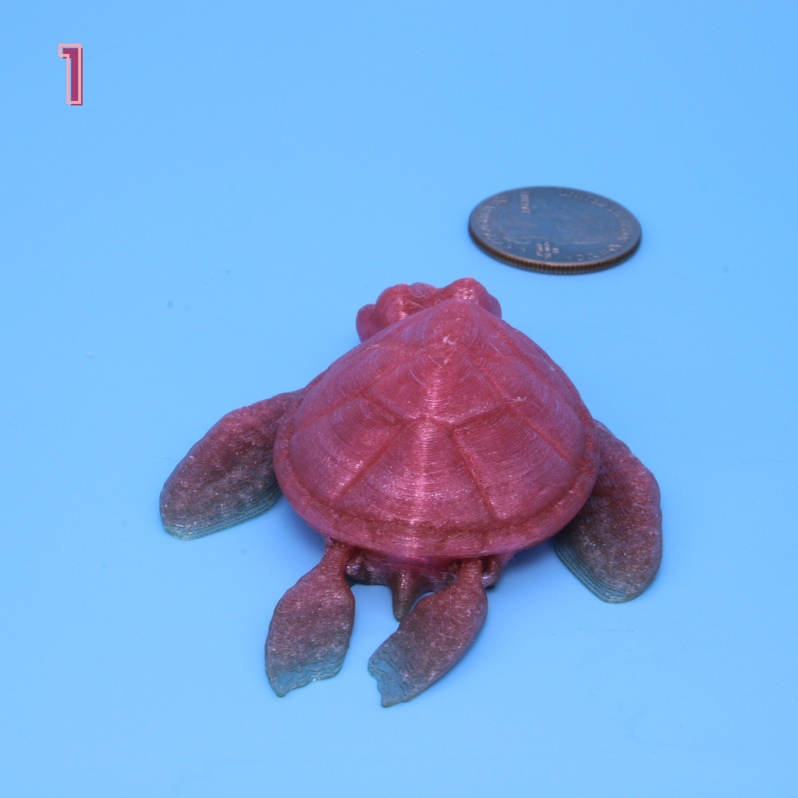 Turtle