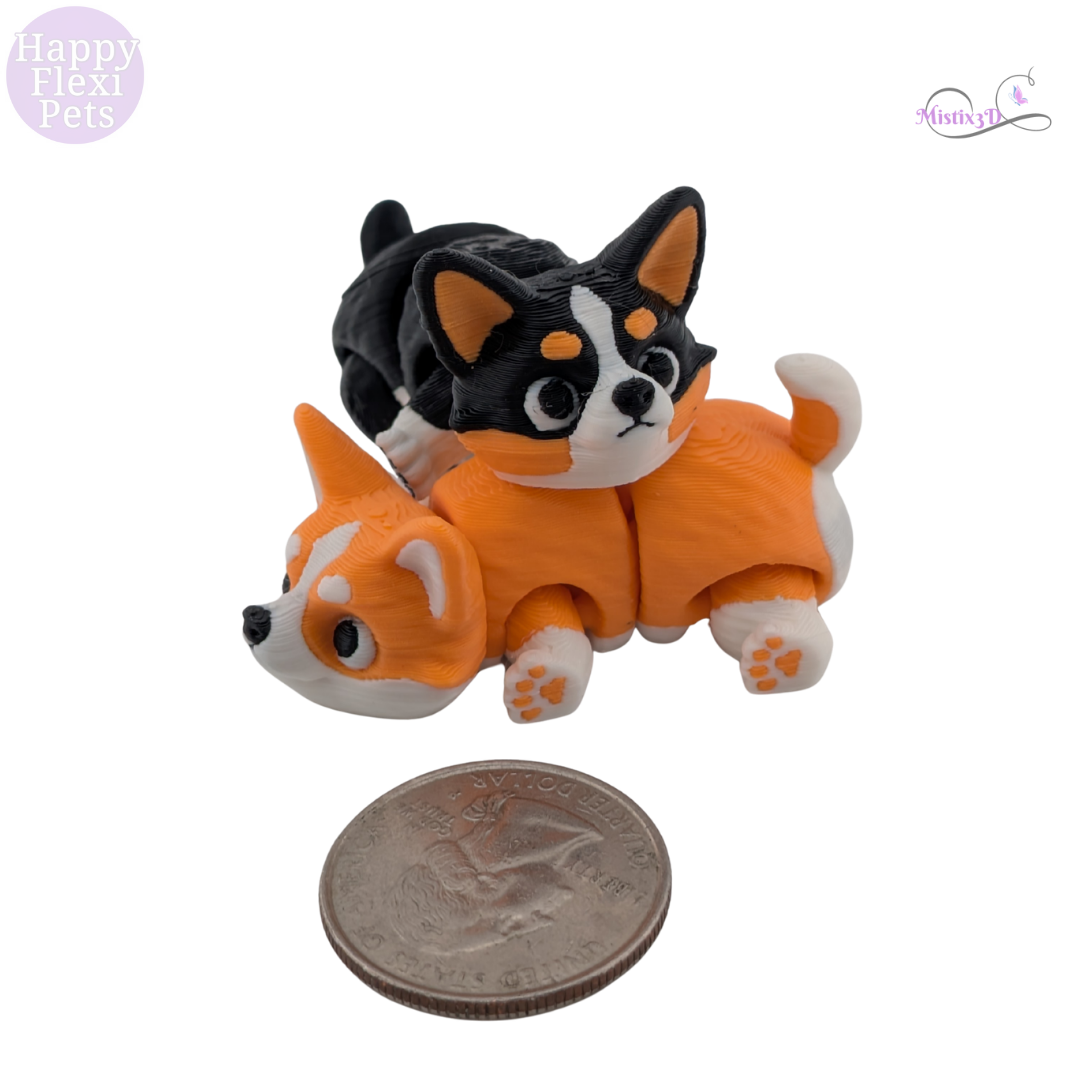 Short Legs, Big Personality: Meet the Mini Corgis at Mistix3D! 🐕