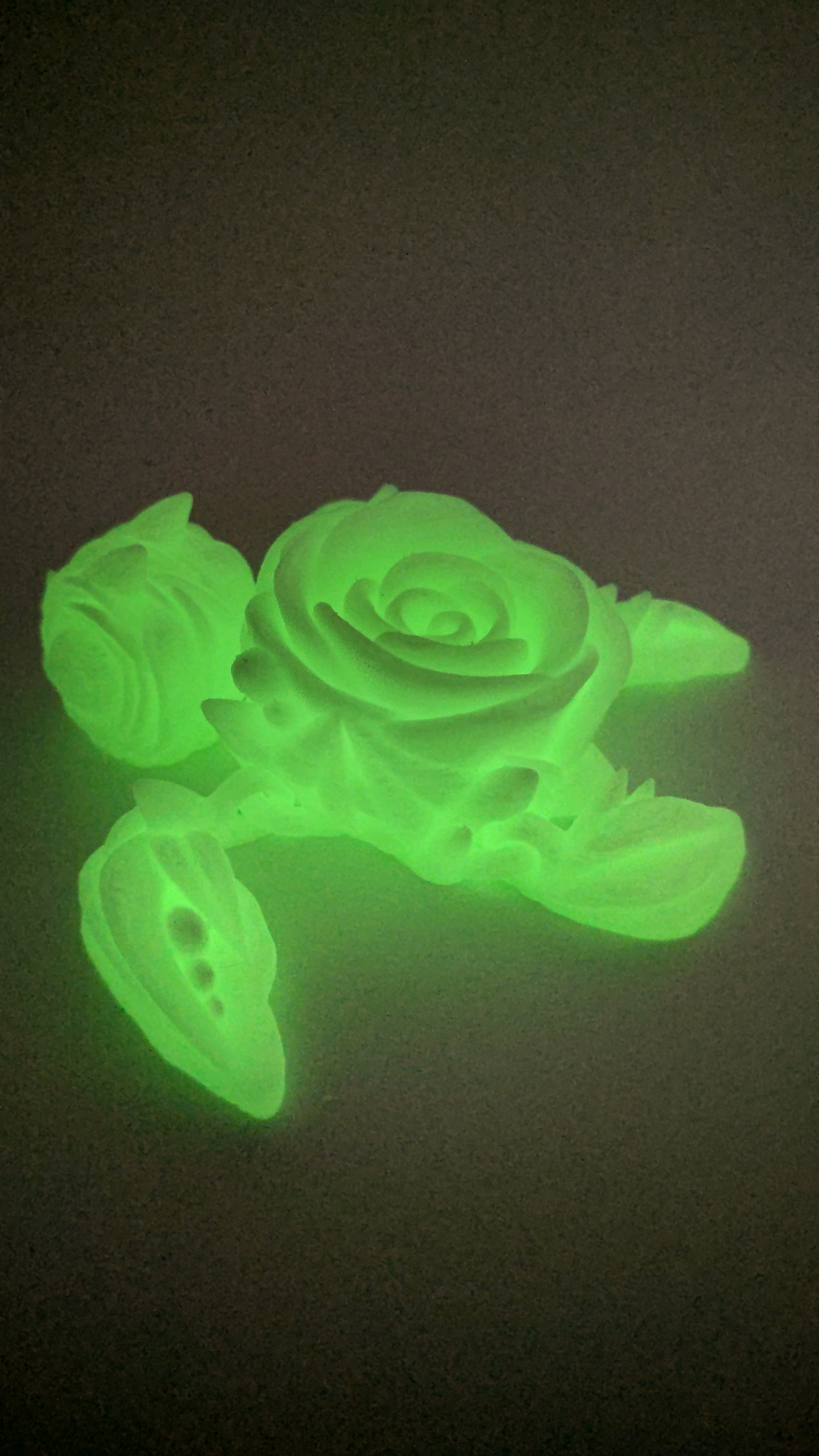 Glow in the dark Roseurtle!