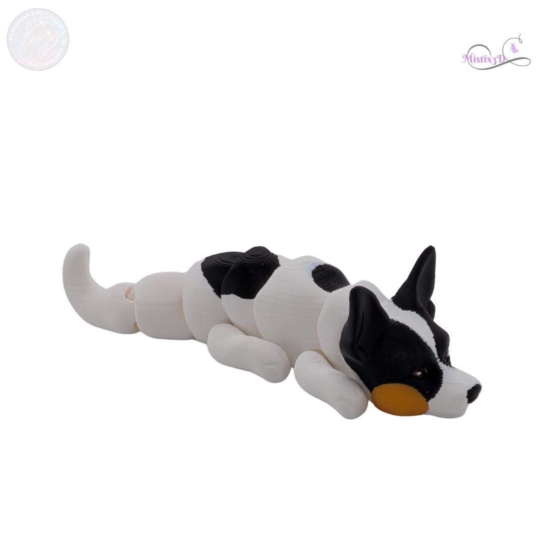 Small Dog, Big Personality: Meet the Articulated Rat Terrier! 🐕‍🦺