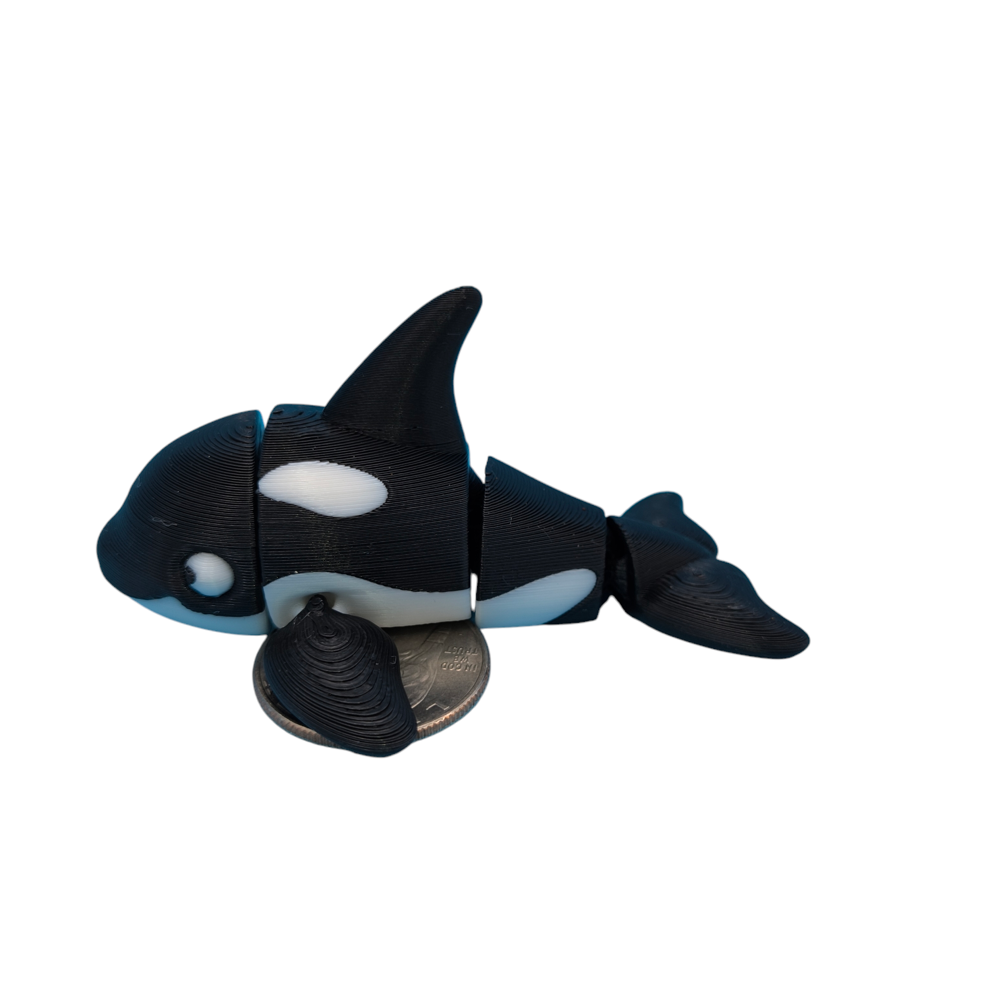 Orca Whale White Eyes