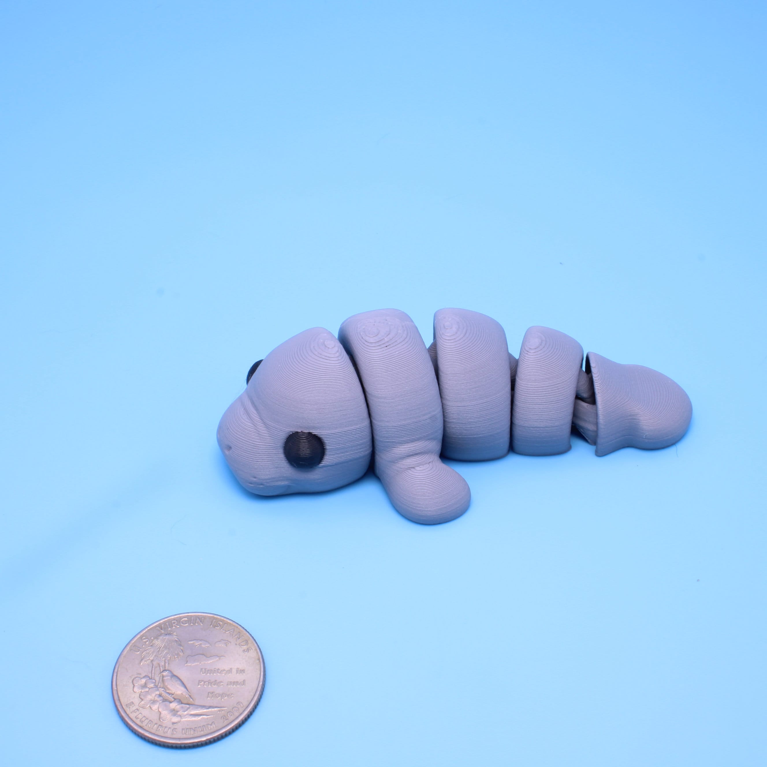 Manatee | 3D Printed