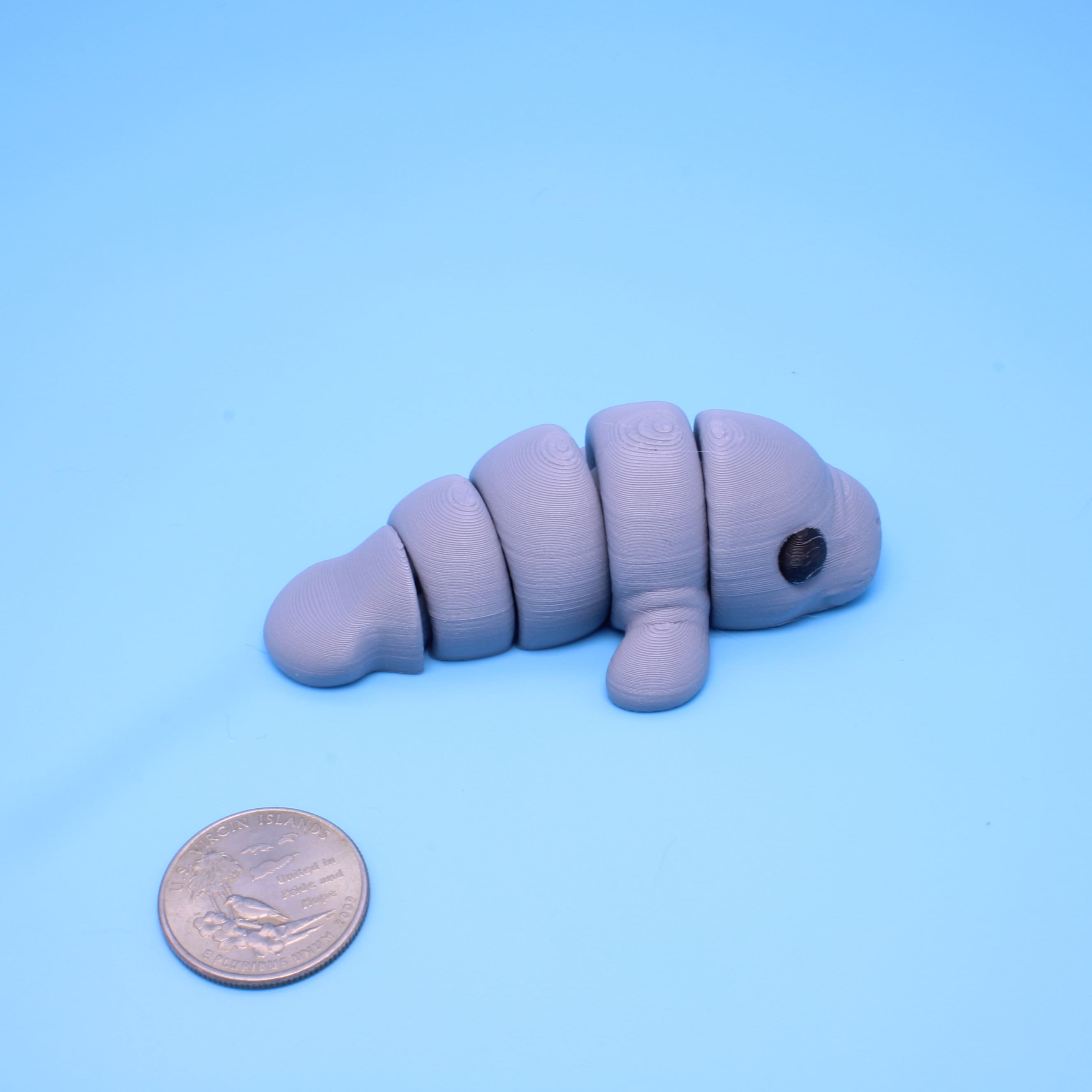 Manatee | 3D Printed