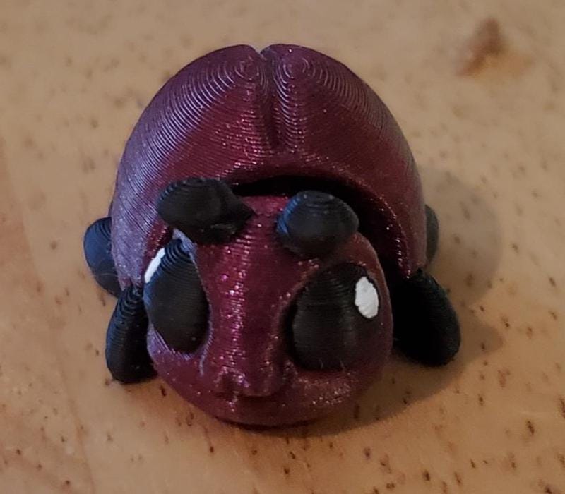Beetle | 3d printed | Authorized Seller Cinderwing