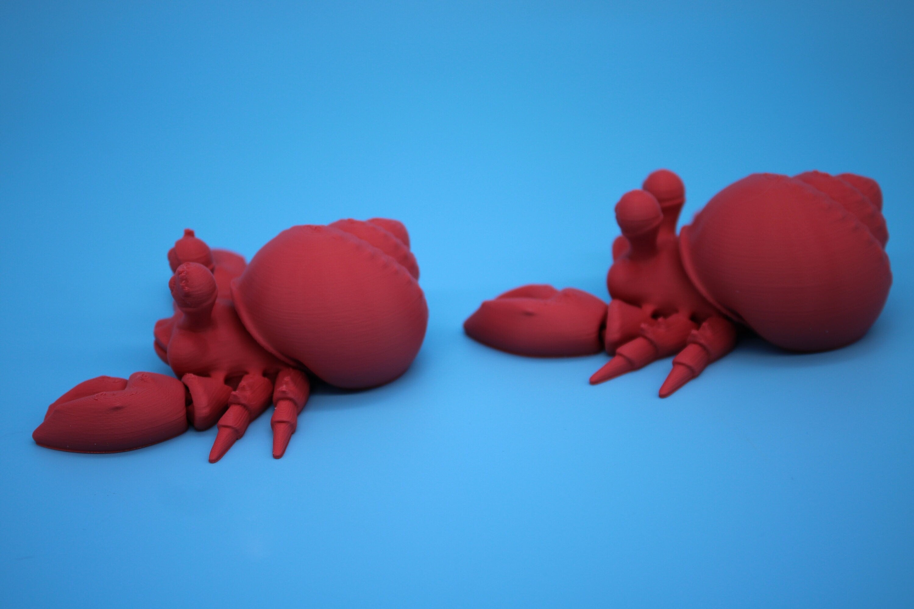Hermit Crabs- Coral | Mr. & Mrs. | 3D Printed | Super Cute | Friendly Crabs.
