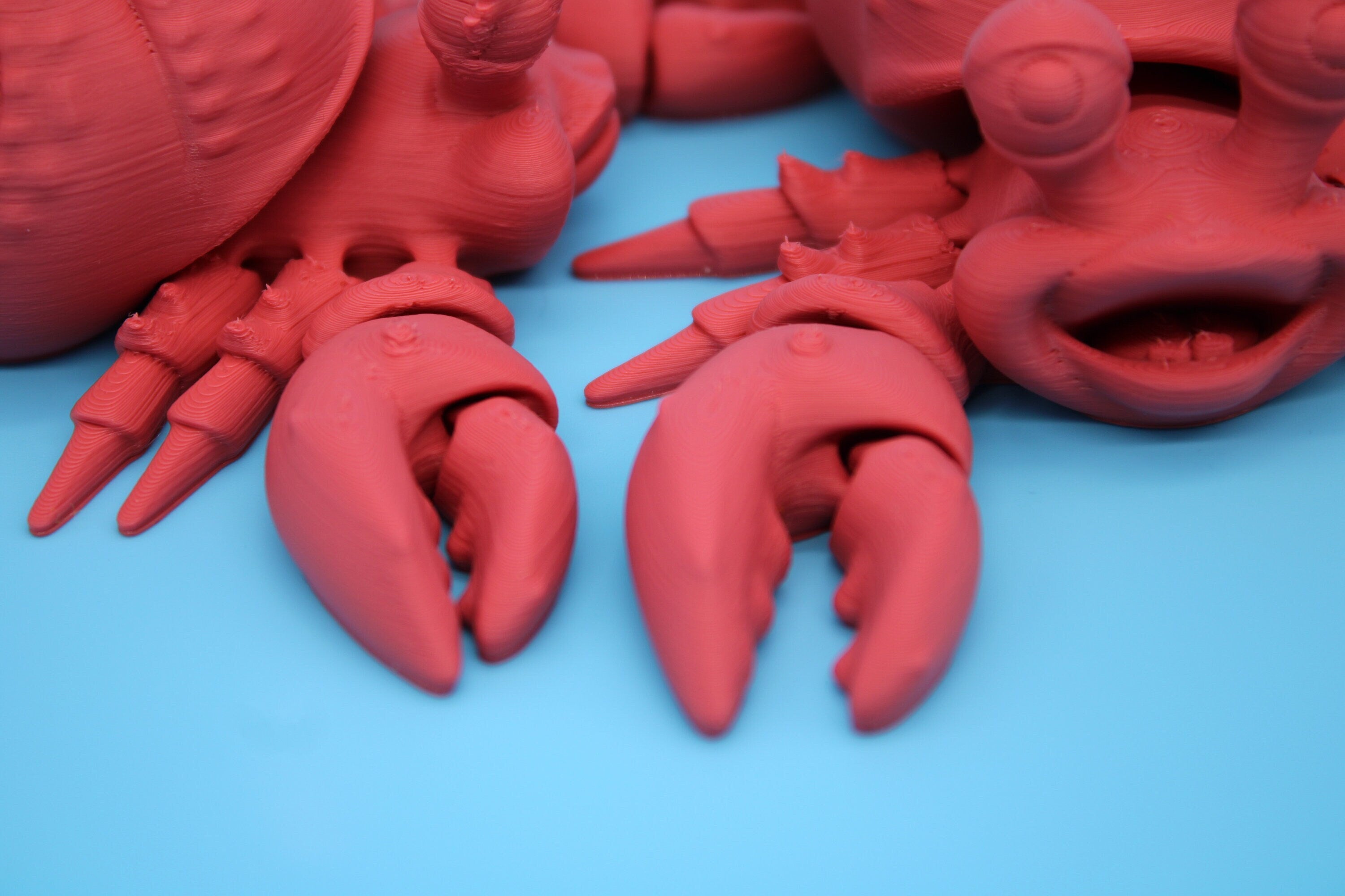Hermit Crabs- Coral | Mr. & Mrs. | 3D Printed | Super Cute | Friendly Crabs.