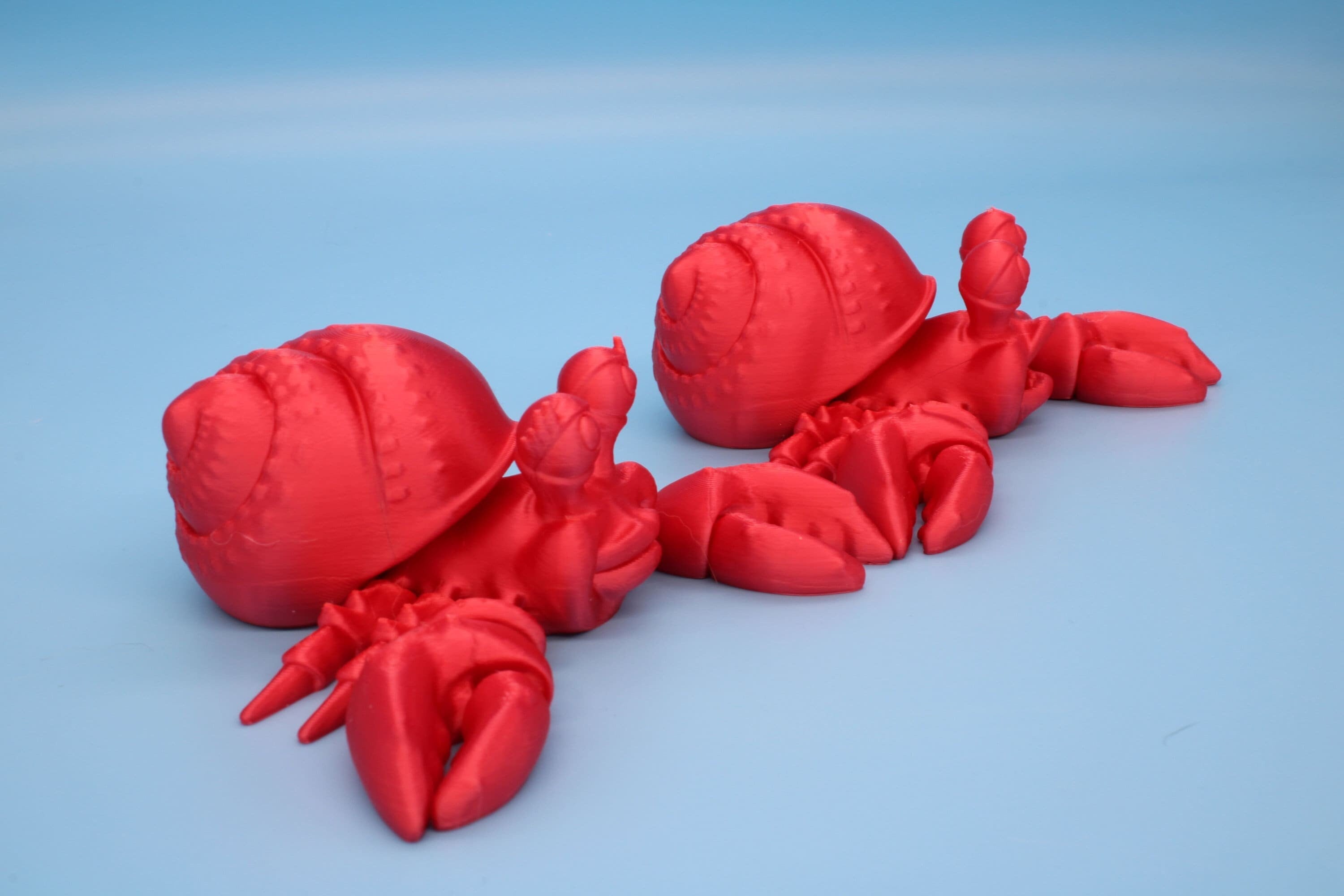 Hermit Crabs | Mr. & Mrs. | 3D Printed | Super Cute | Friendly Crabs.