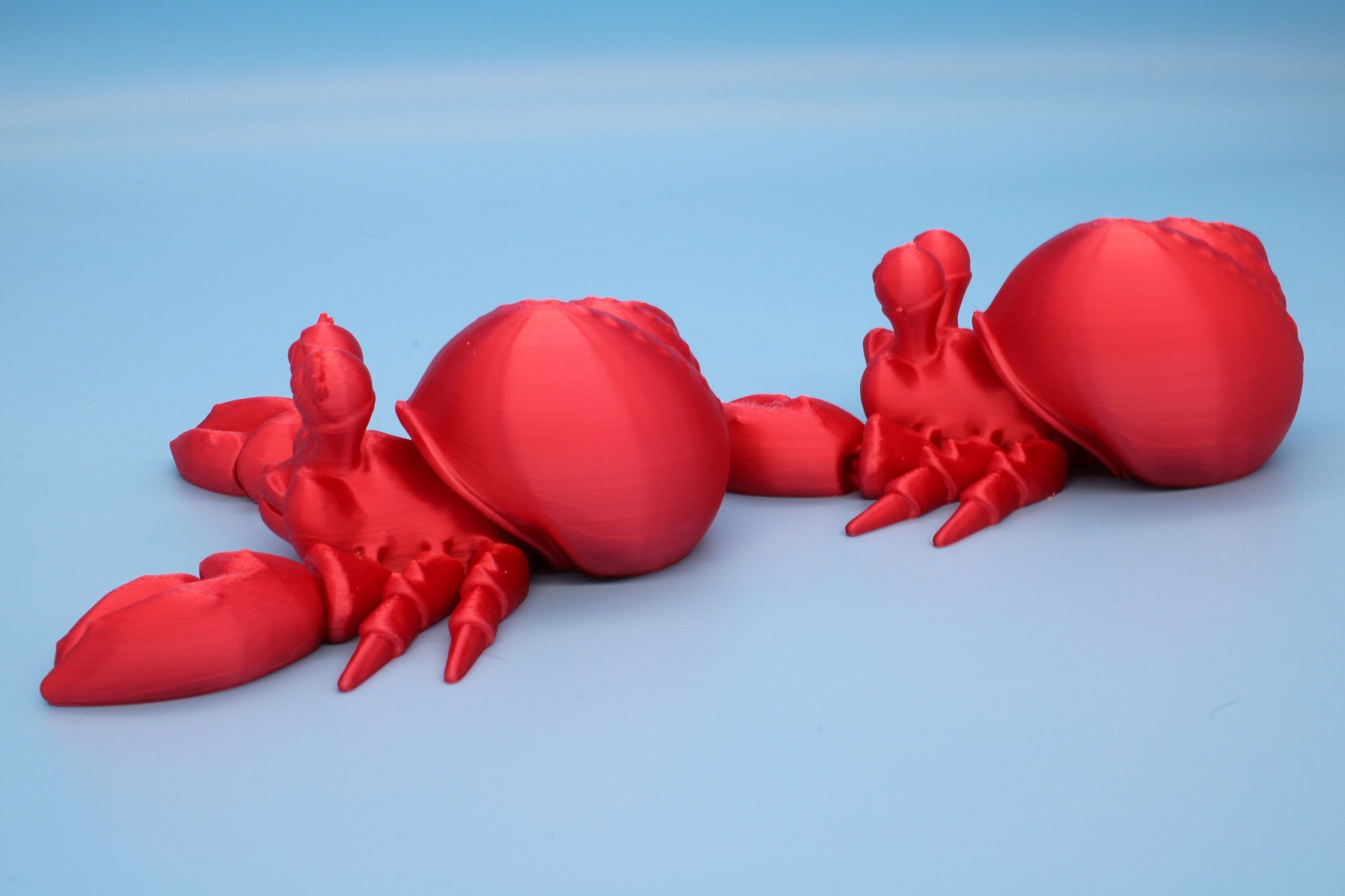 Hermit Crabs | Mr. & Mrs. | 3D Printed | Super Cute | Friendly Crabs.