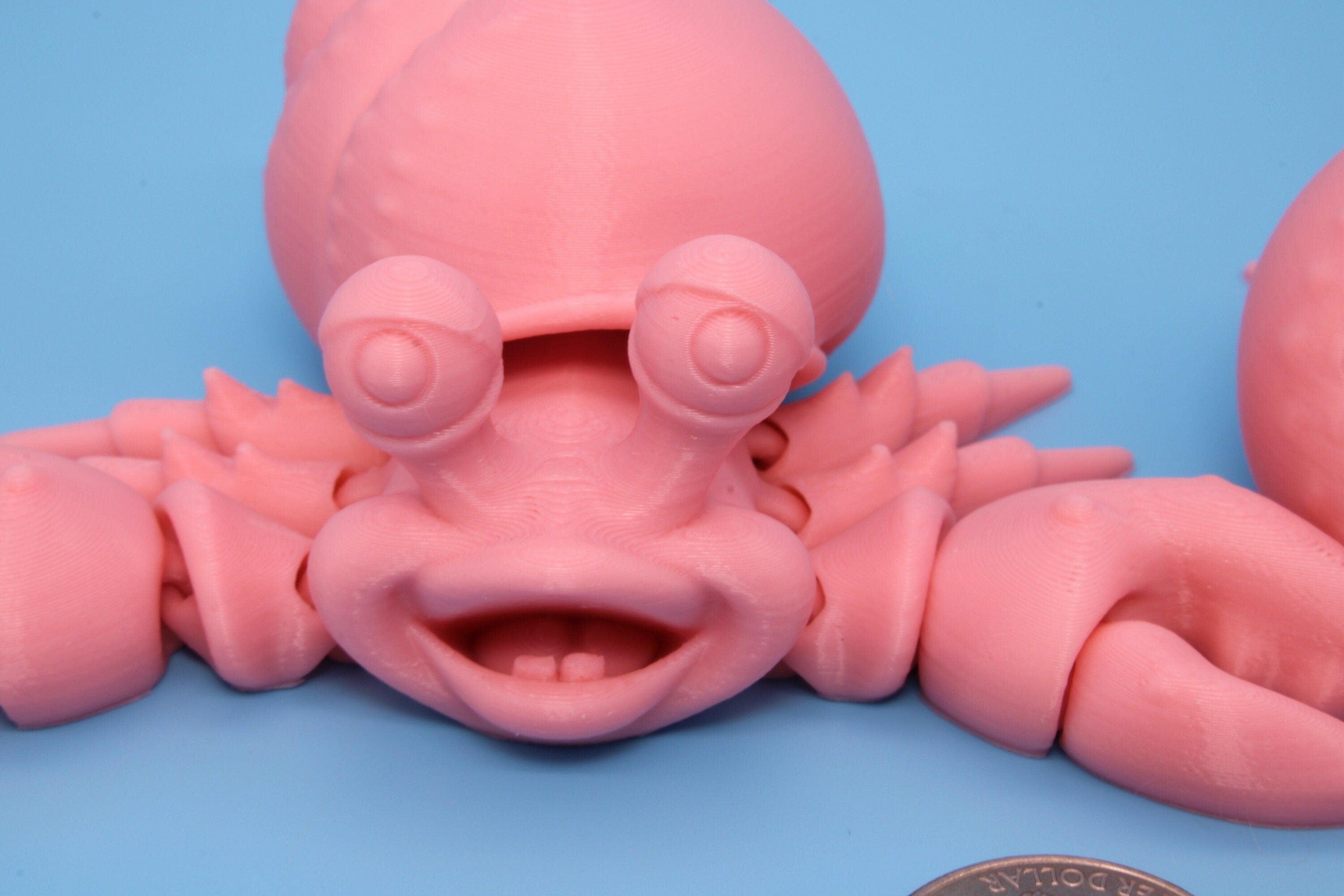 Flexi Hermit Crab Mr. & Mrs. | Articulating Pink | 3D Printed. | Super Cute | Friendly Crabs | Great Fidget Toy | Buddy | Sensory.