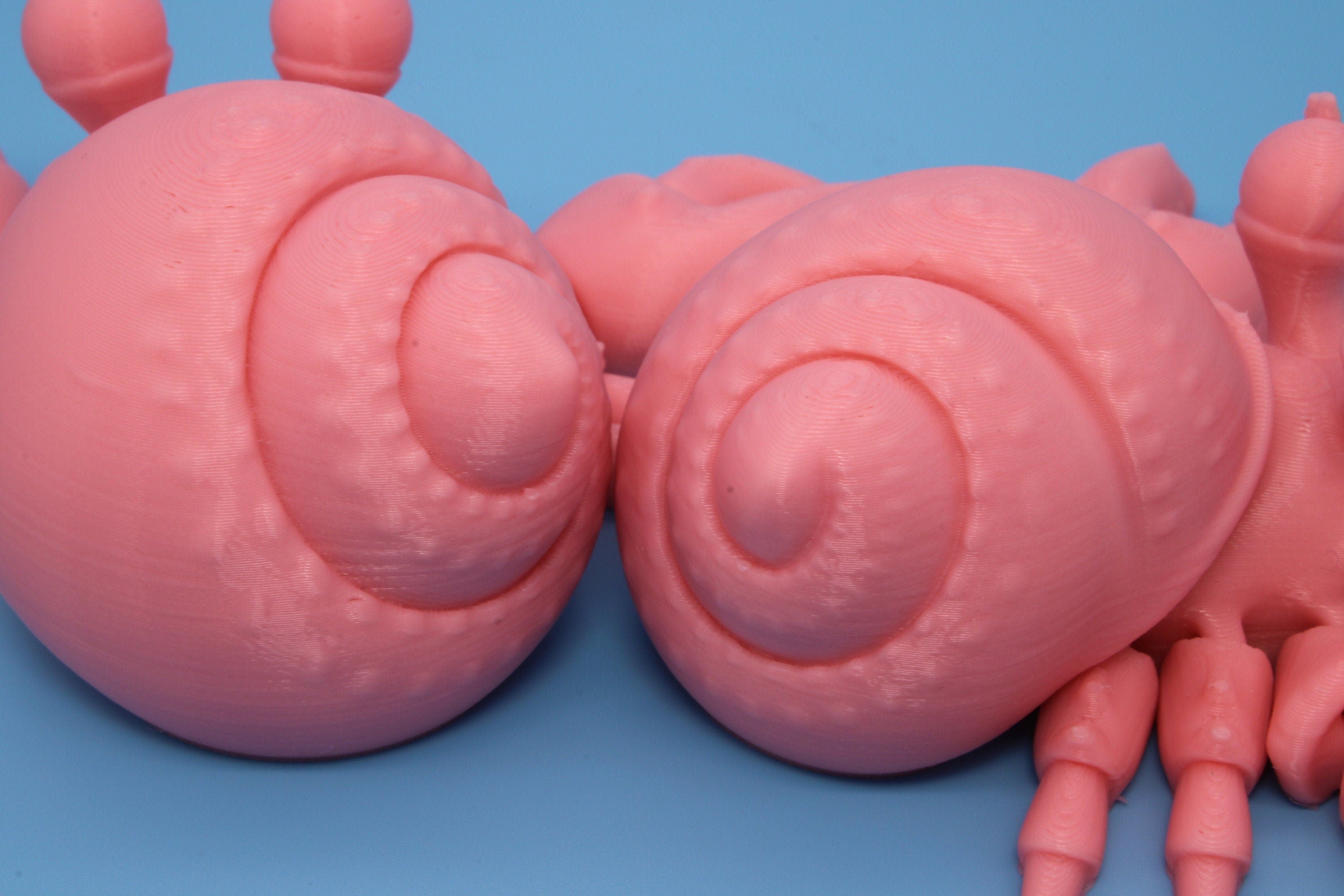 Flexi Hermit Crab Mr. & Mrs. | Articulating Pink | 3D Printed. | Super Cute | Friendly Crabs | Great Fidget Toy | Buddy | Sensory.