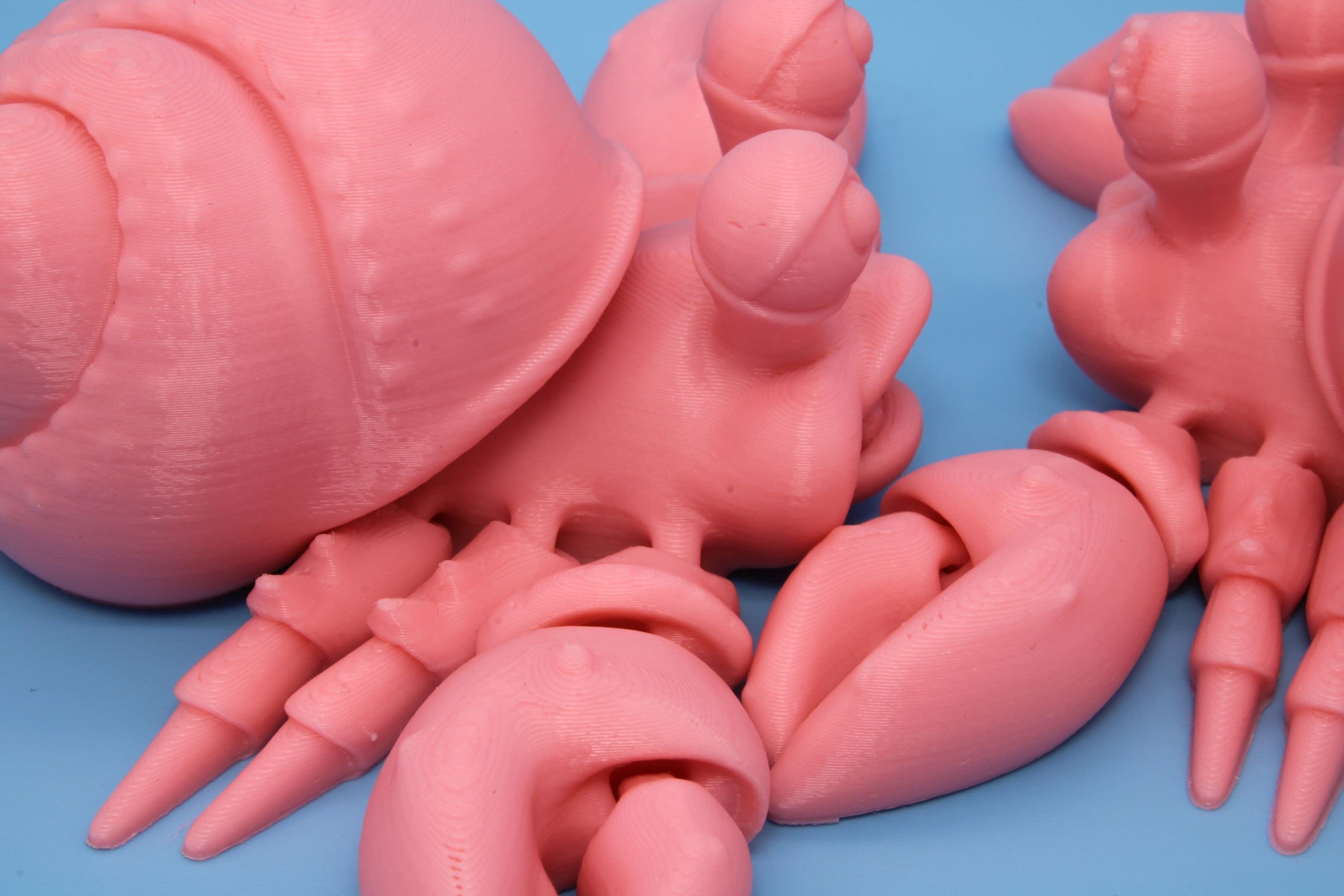 Flexi Hermit Crab Mr. & Mrs. | Articulating Pink | 3D Printed. | Super Cute | Friendly Crabs | Great Fidget Toy | Buddy | Sensory.