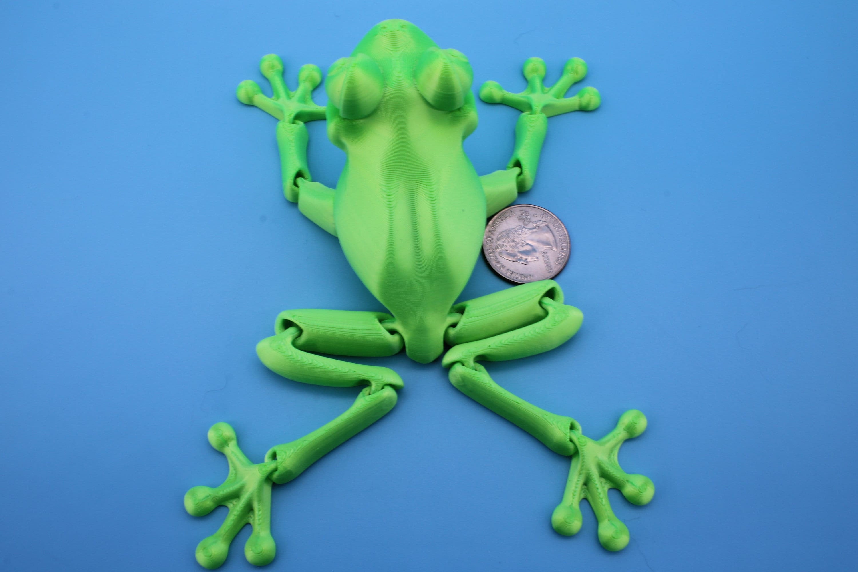 Green Frog | Cute Flexi Toy | Articulating Frog | 3D printed Unique Fidget | Desk Buddy | Sensory Toy | Stim Toy | Small Flexi Toy.