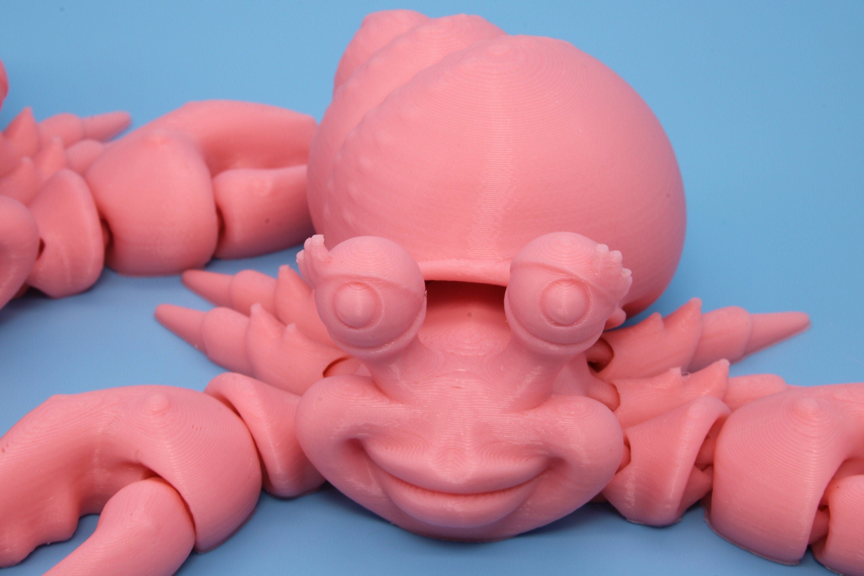 Flexi Hermit Crab Mr. & Mrs. | Articulating Pink | 3D Printed. | Super Cute | Friendly Crabs | Great Fidget Toy | Buddy | Sensory.