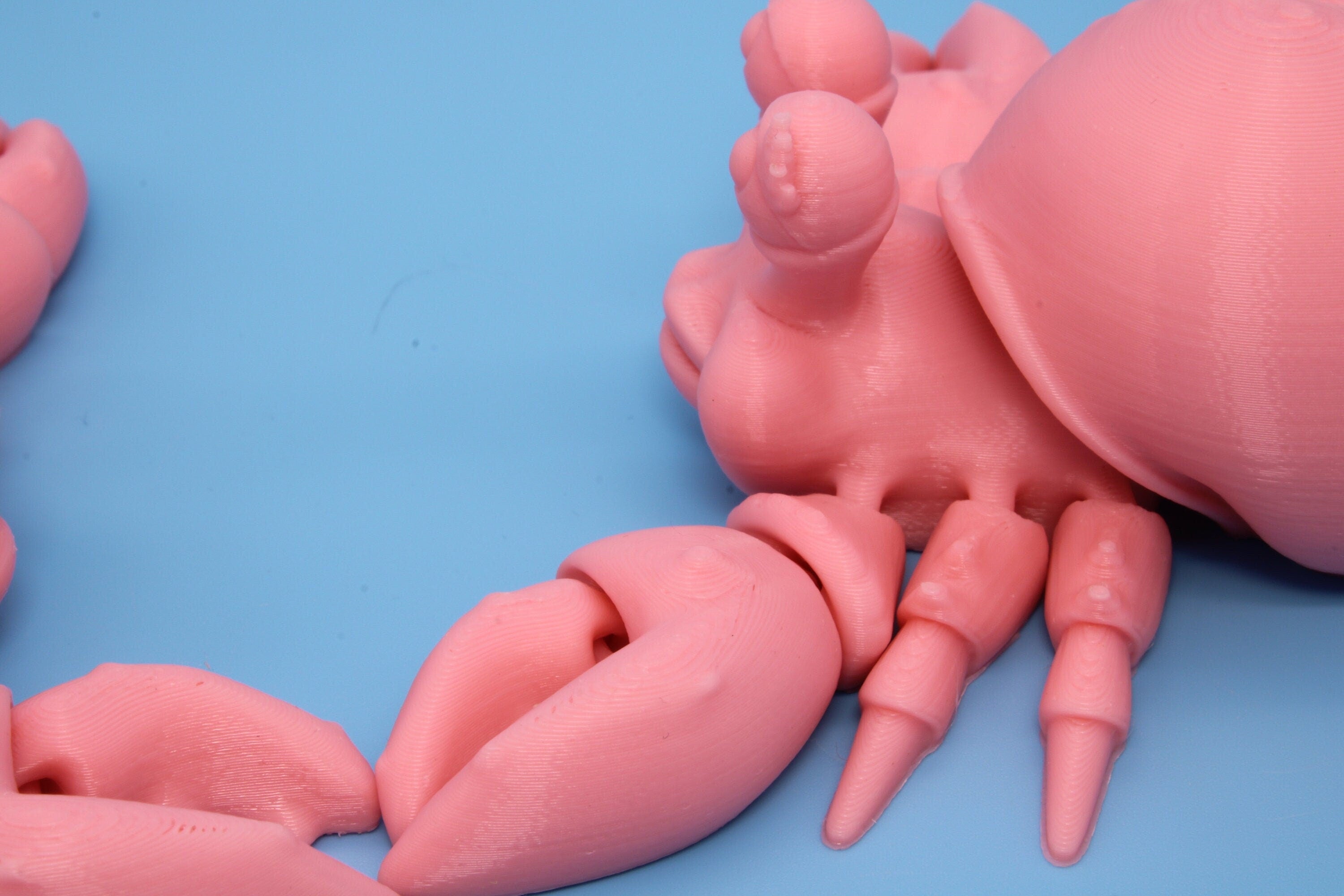 Flexi Hermit Crab Mr. & Mrs. | Articulating Pink | 3D Printed. | Super Cute | Friendly Crabs | Great Fidget Toy | Buddy | Sensory.