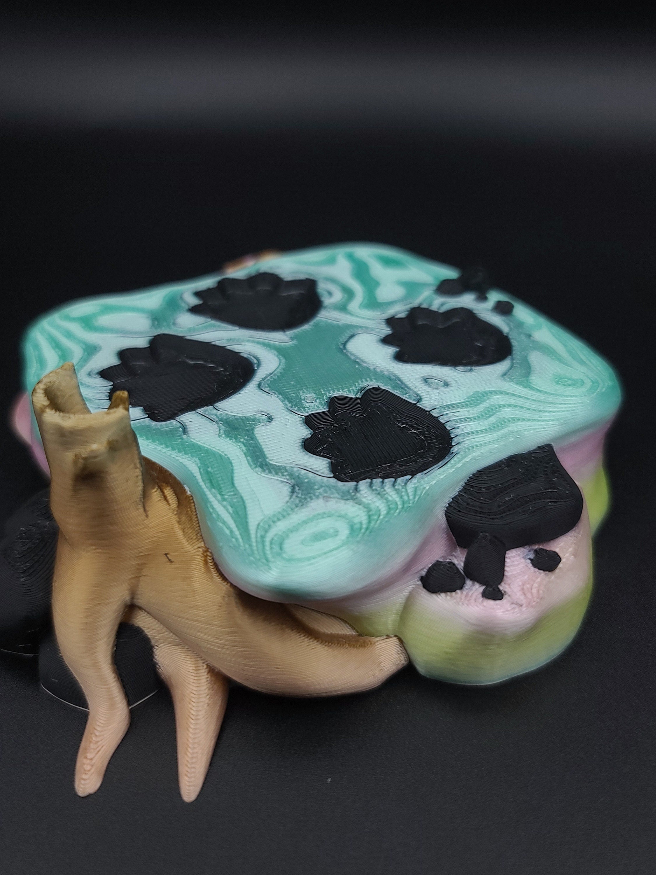 Rainbow Triceratops Stand 3D Printed. Stand for Triceratops. Super cute to show off your dinosaur. Display for your favorite Dino
