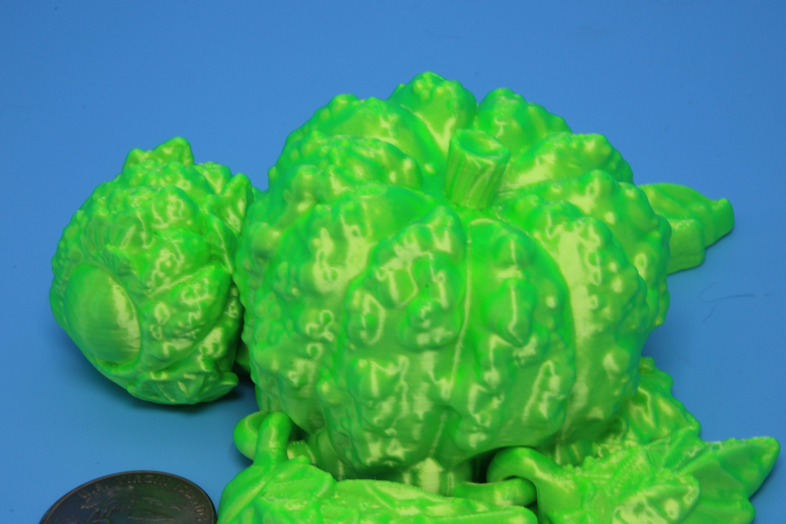 Turtle- Green | Pumpkin Turtle | Flexi Bumpkinurtle | 4.5 inch | Turtle Buddy | Great gift!