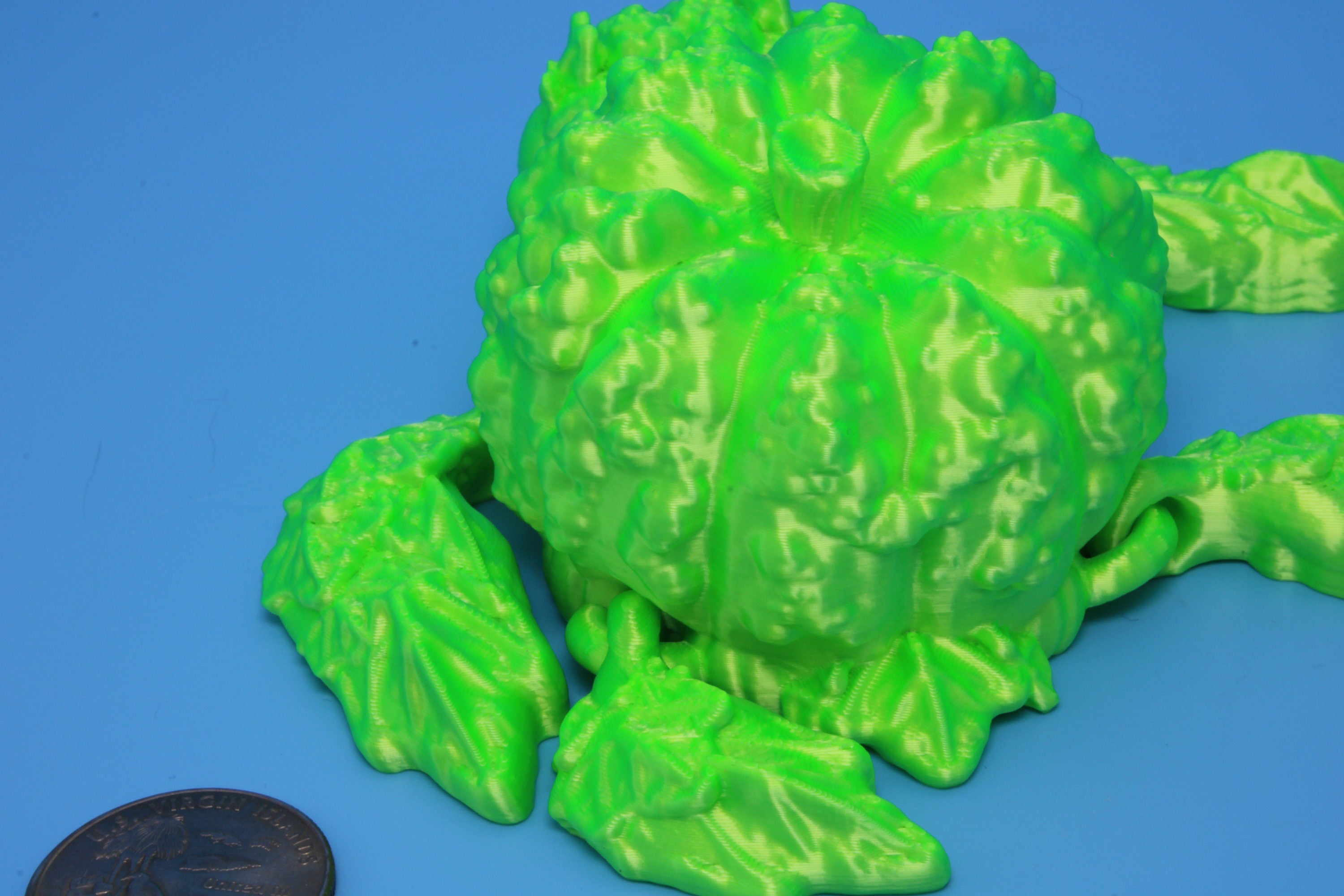 Turtle- Green | Pumpkin Turtle | Flexi Bumpkinurtle | 4.5 inch | Turtle Buddy | Great gift!