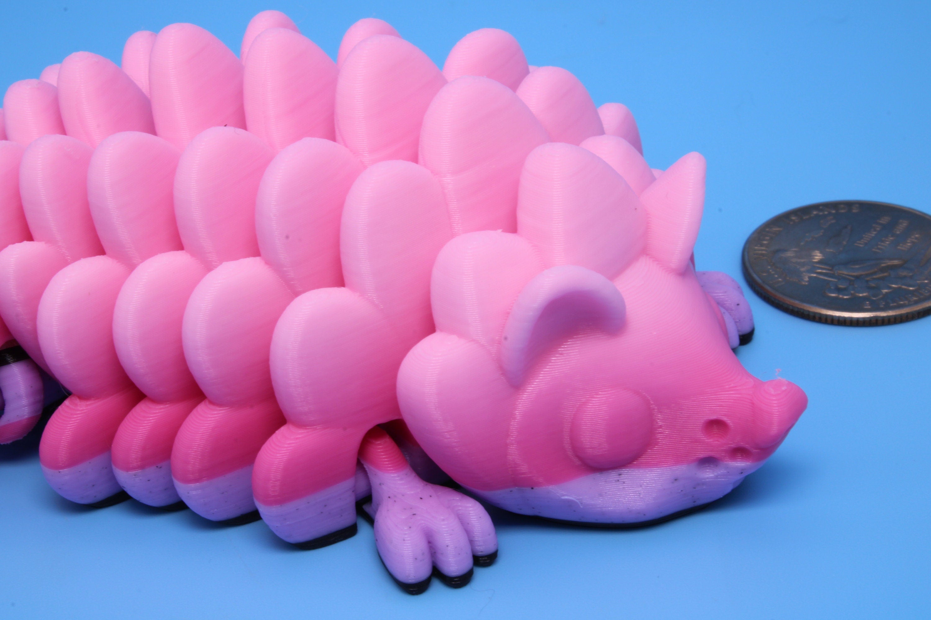 Hedgehog | 3D Printed | Small Cute Hedgehog | Sensory Toy | Fidget Toy.