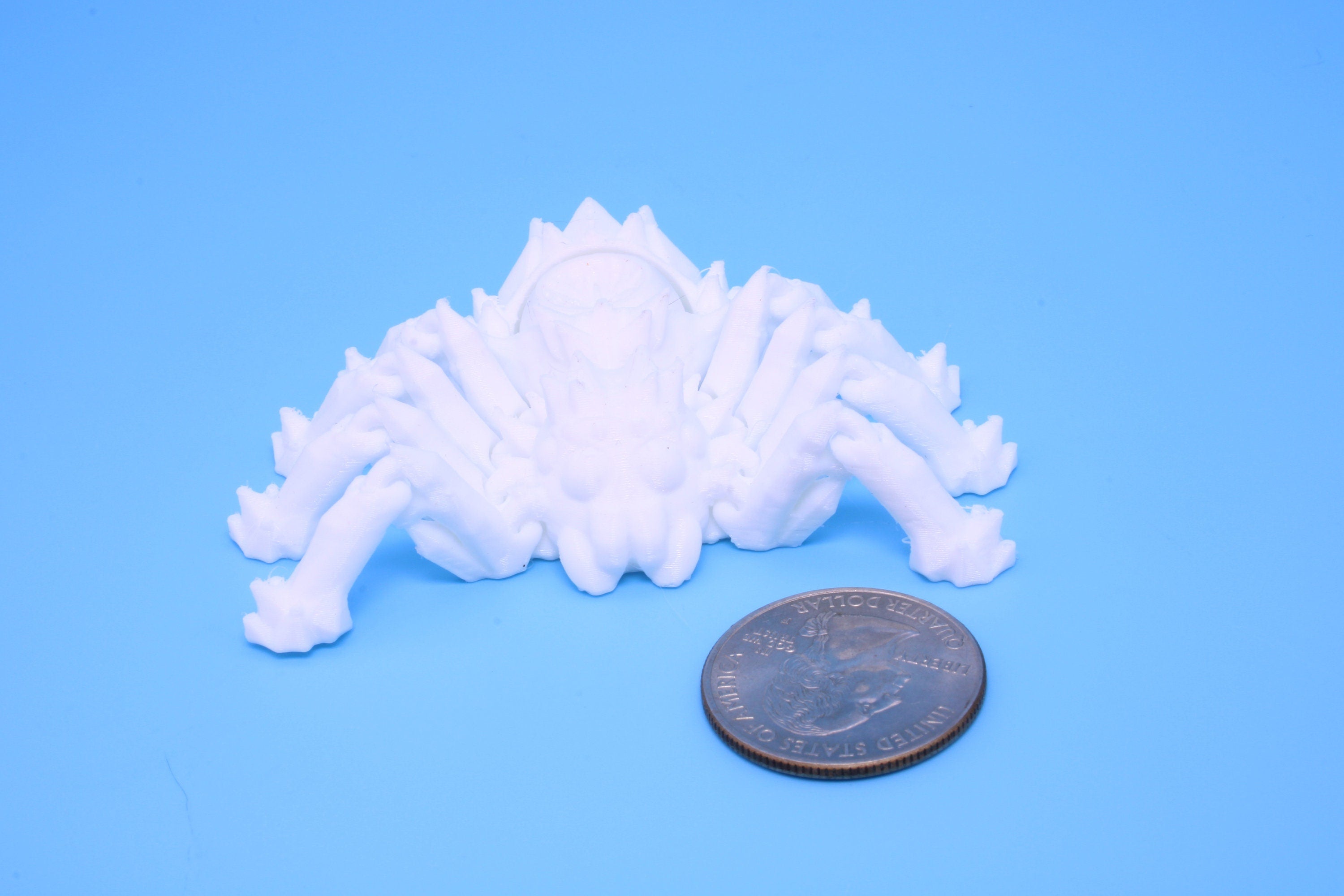 Spider- 3D Printed TPU | White | Flexi Toy. made to order