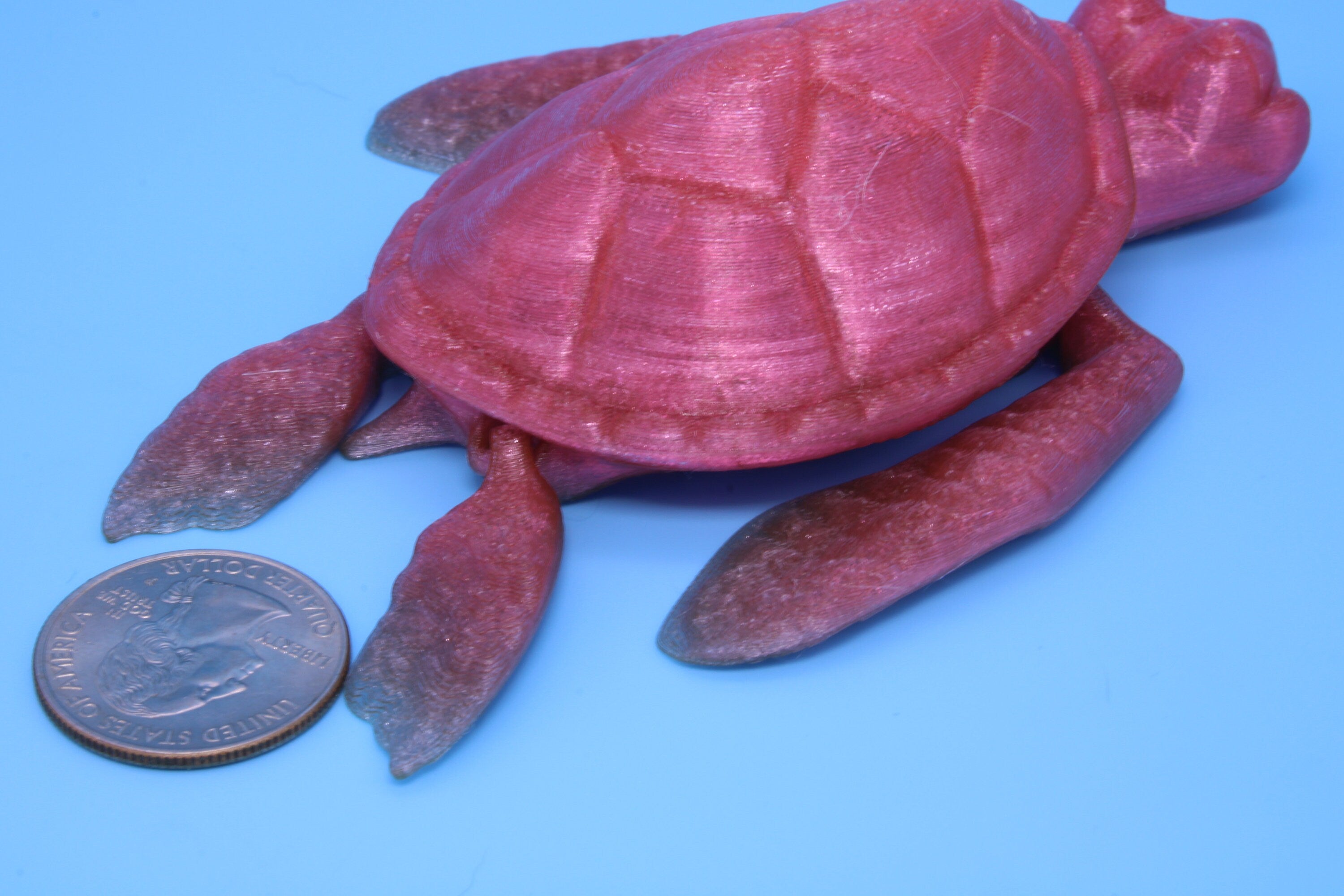 Turtle- Pink | Cute Flexi Toy | Articulating Turtle | 3D printed 4.75 in. | TPU