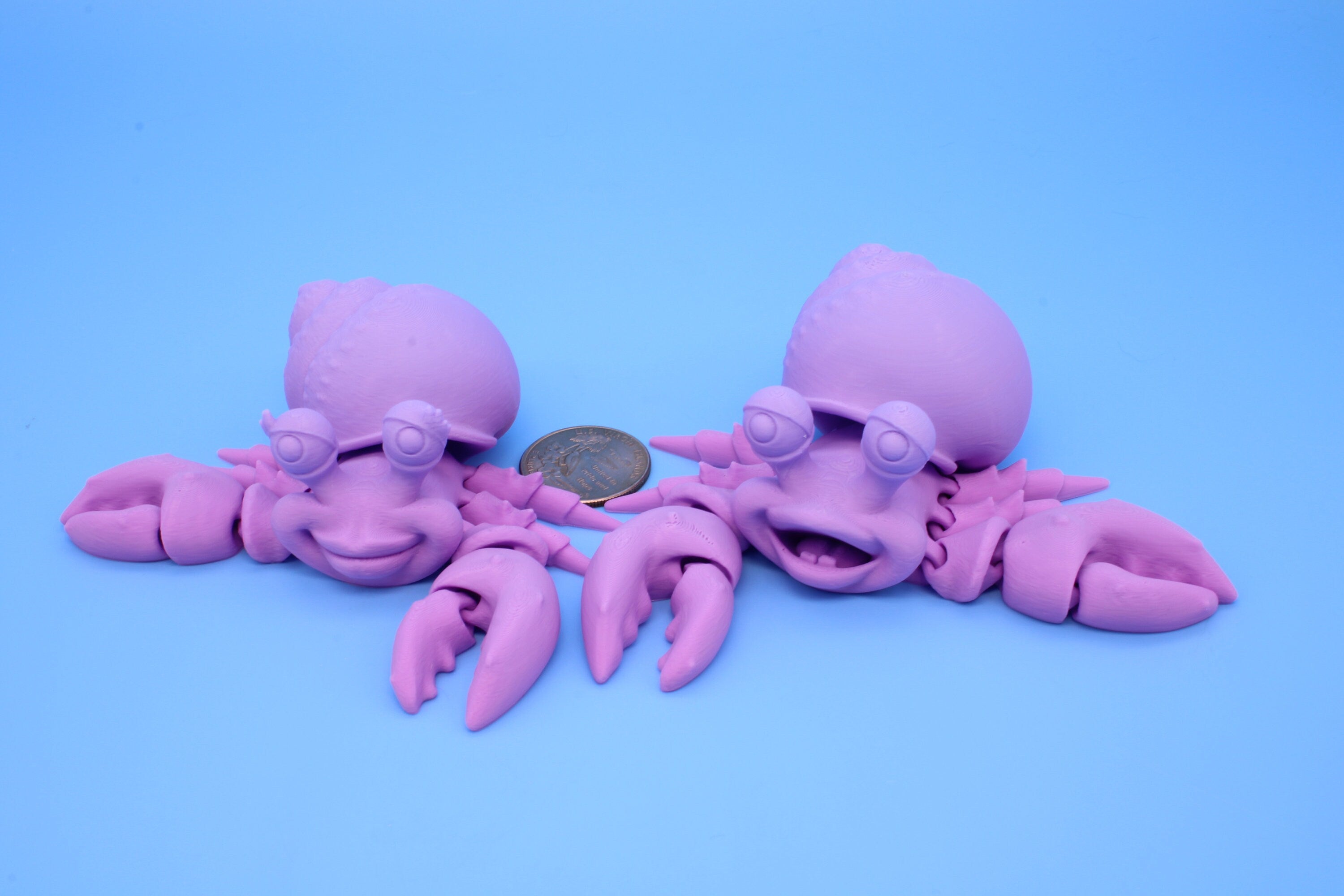 Hermit Crabs- Mr. & Mrs. | 3D Printed | Super Cute | Friendly Crabs.