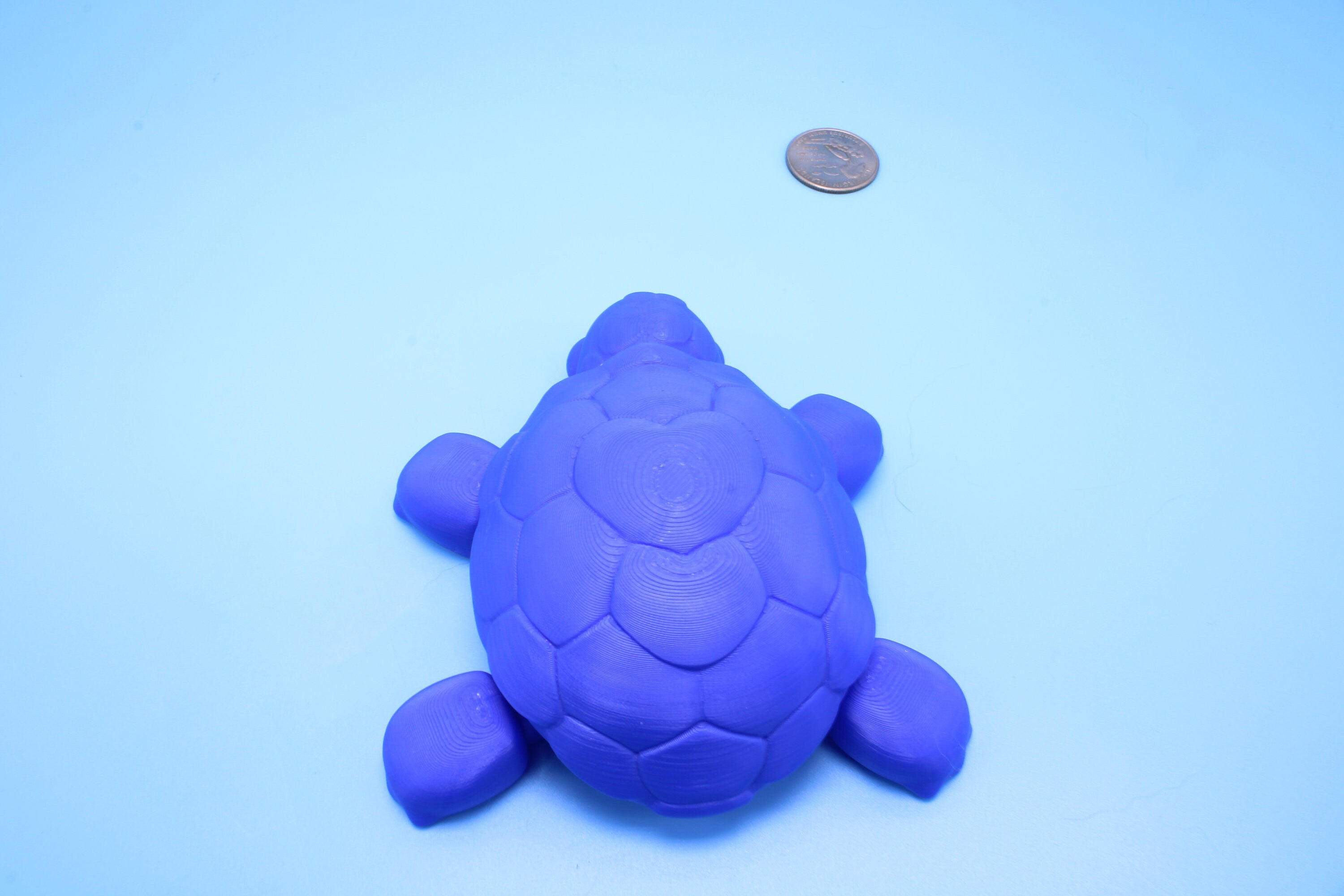 Articulating Turtle | 3D Printed Blue Cute Turtle with heart on shell.