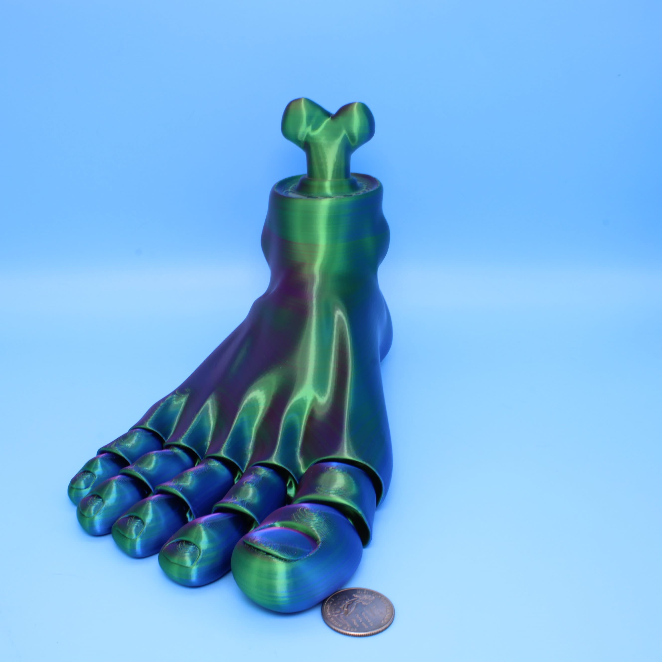 Tri Colored Foot- Multiple Sizes