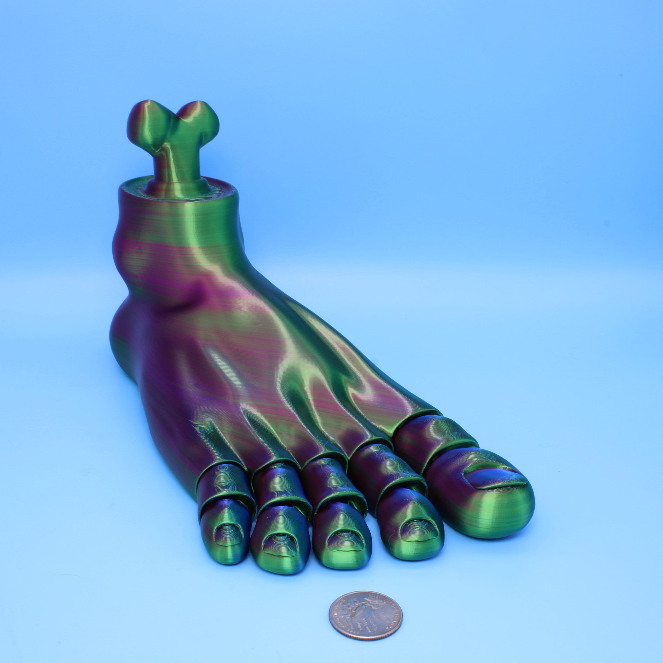 Tri Colored Foot- Multiple Sizes
