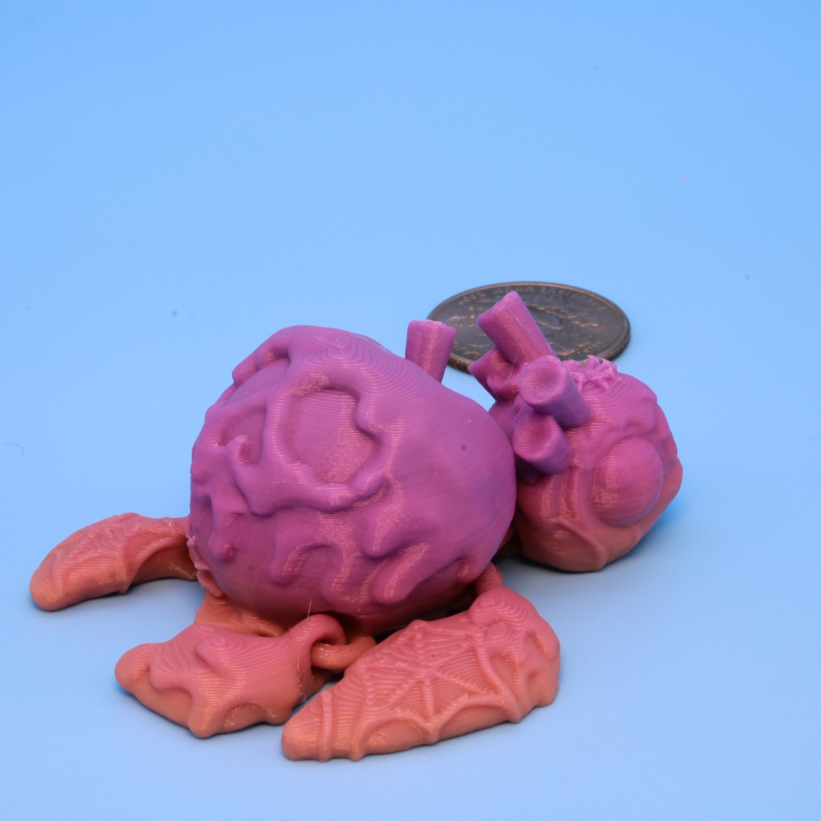 Miniature Poison Apple Turtle & Bone Moth | 3D Printed