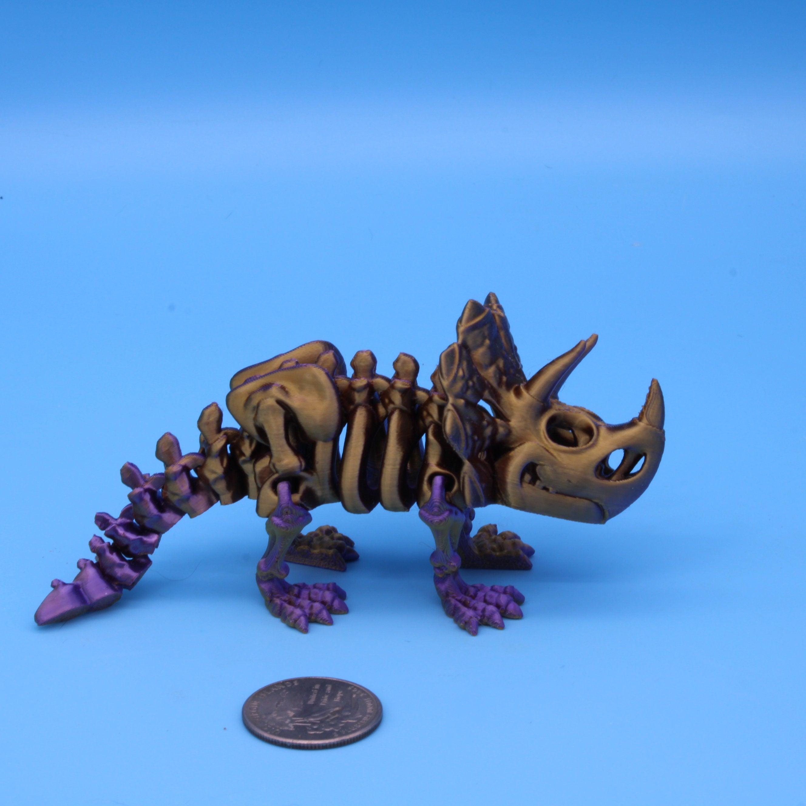 Flexi Skelton Triceratops | Articulating | 3D Printed